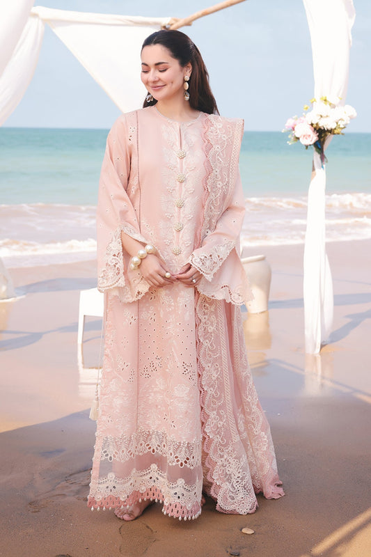 SL 84 AMAYA