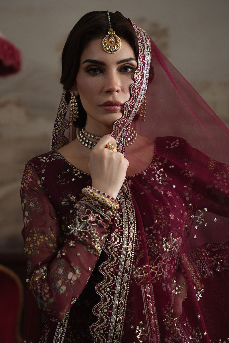 LUXURY CHIFFON - NEL-72