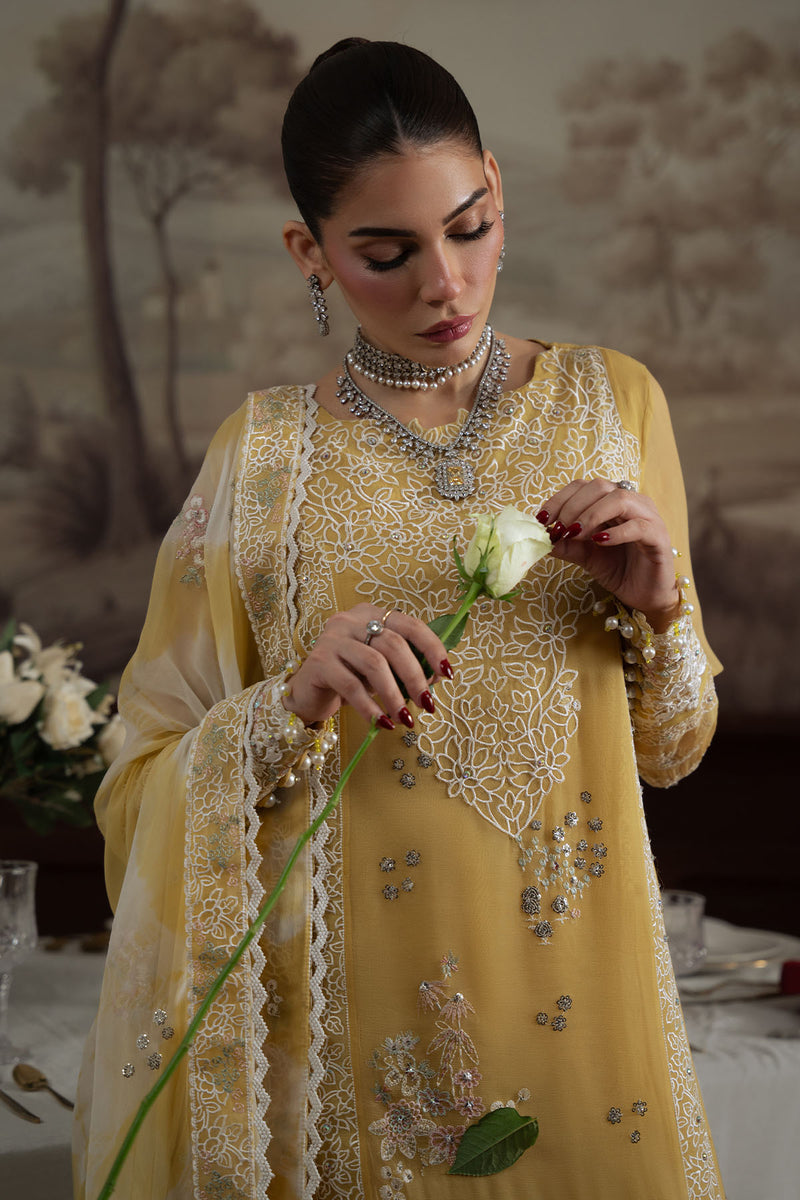 LUXURY CHIFFON - NEL-76