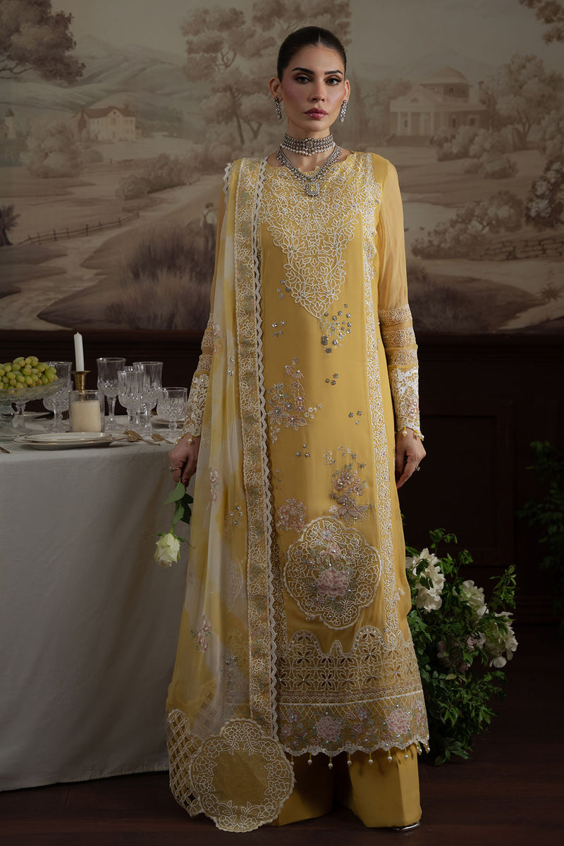 LUXURY CHIFFON - NEL-76