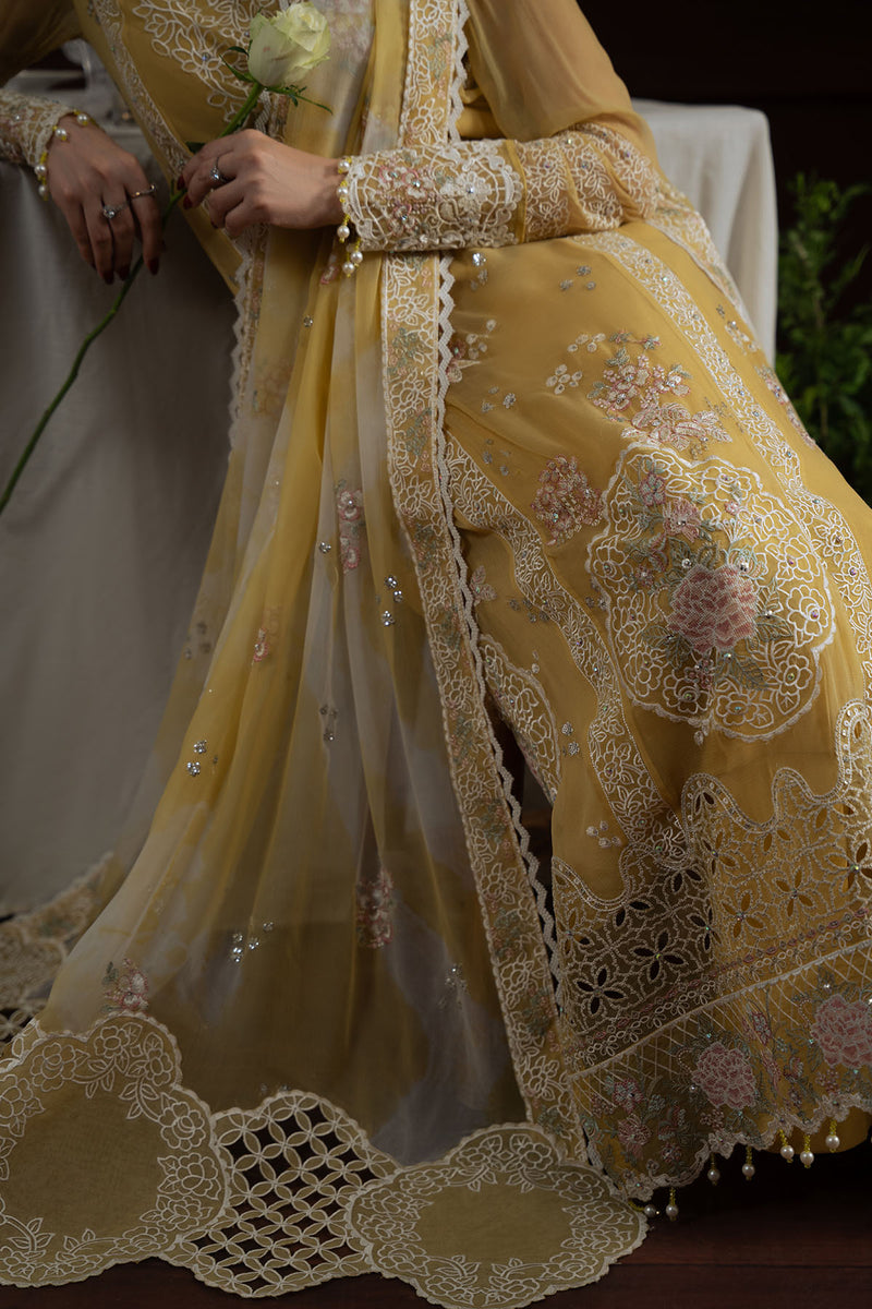 LUXURY CHIFFON - NEL-76