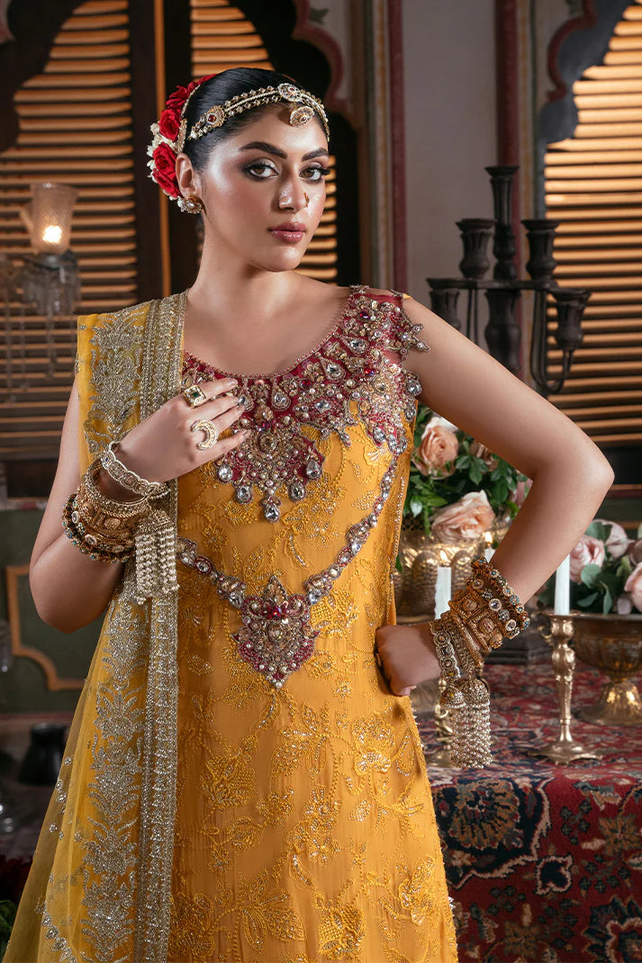 IB-55 Roshni