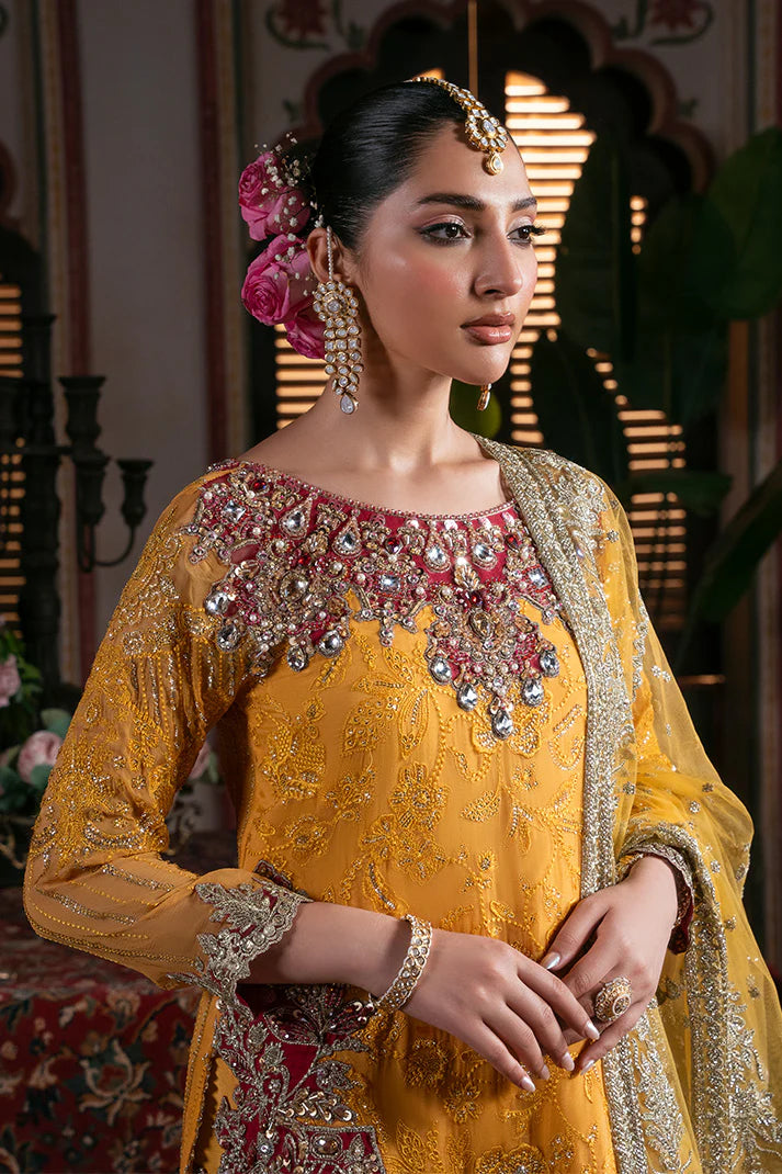IB-55 Roshni