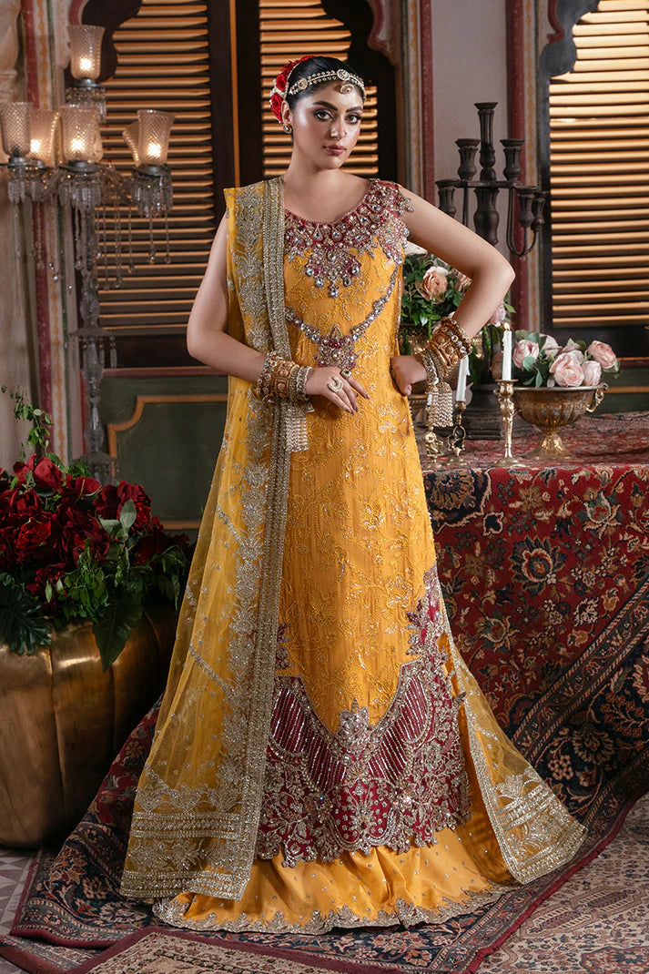 IB-55 Roshni