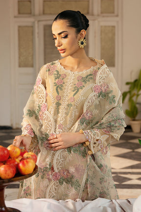 LUXURY CHIFFON - RDV- 105