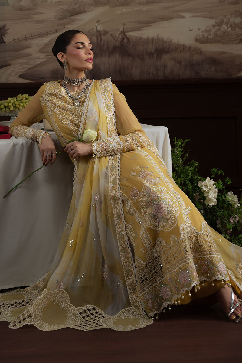 LUXURY CHIFFON - NEL-76