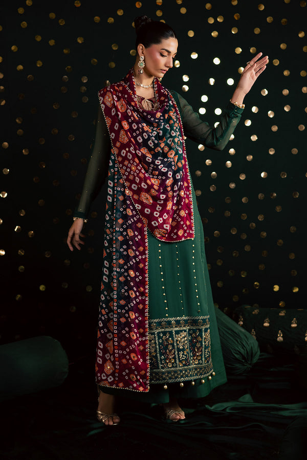 Pakistani Custom Stitched Chiffon Dress - MK-20