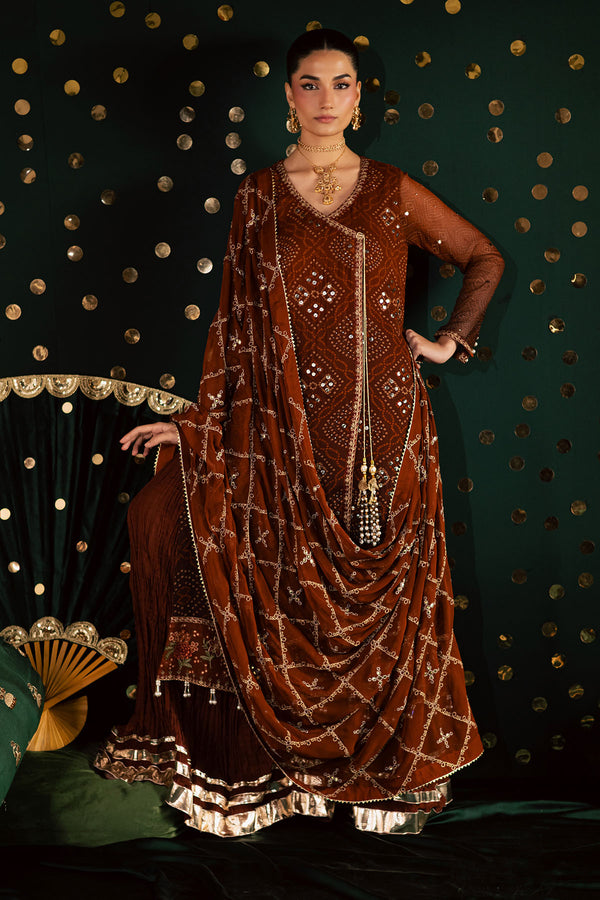 Pakistani Custom Stitched Chiffon Dress - MK-19