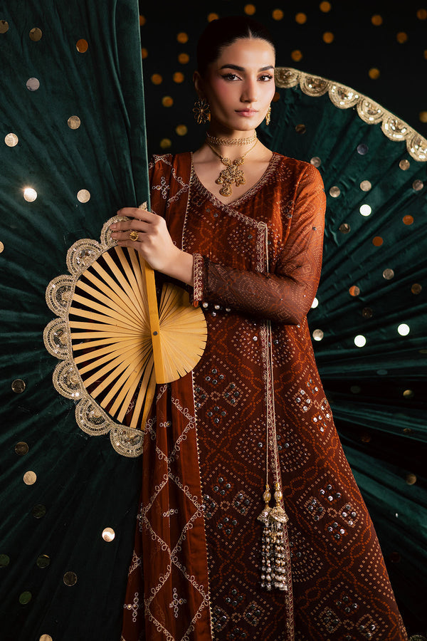 Pakistani Custom Stitched Chiffon Dress - MK-19