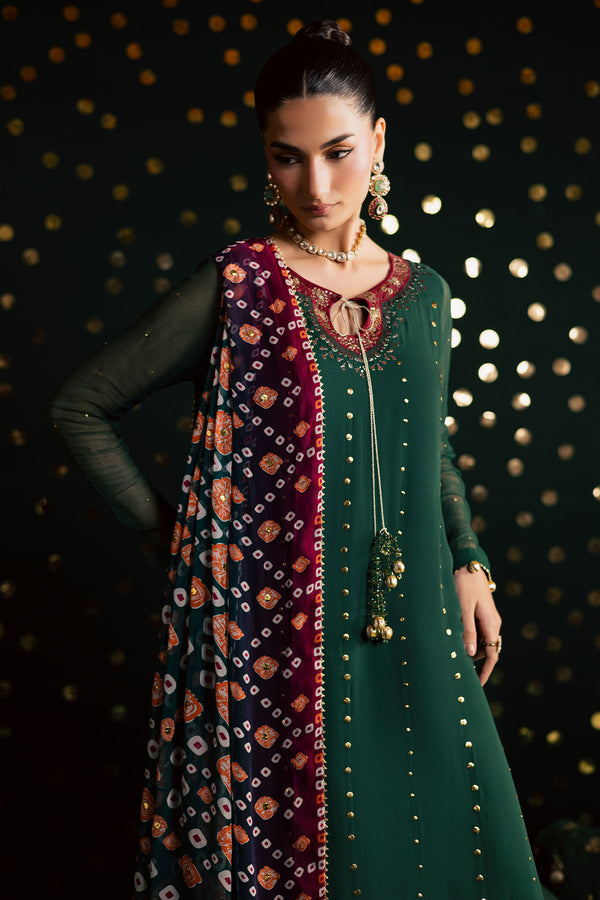 Pakistani Custom Stitched Chiffon Dress - MK-20