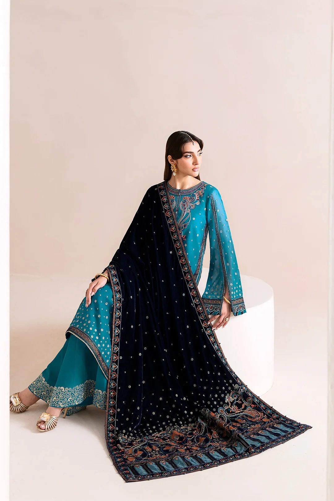 Pakistani Custom Stitched Velvet Dress-2225-NELOFER