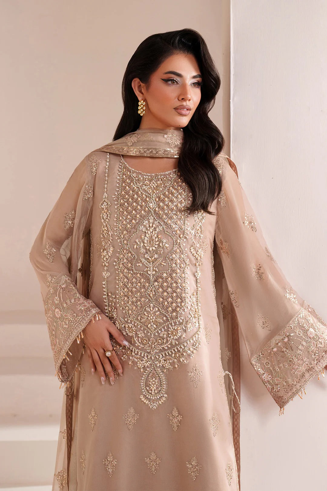 Pakistani Custom Stitched Chiffon Dress-4064-COVE
